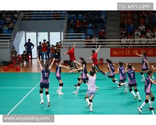 上海排球队的奋斗历程：一段不屈不挠的排球精神之旅