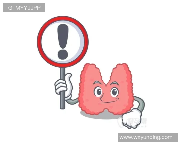 武汉极限运动队战术解析与训练策略探讨之路