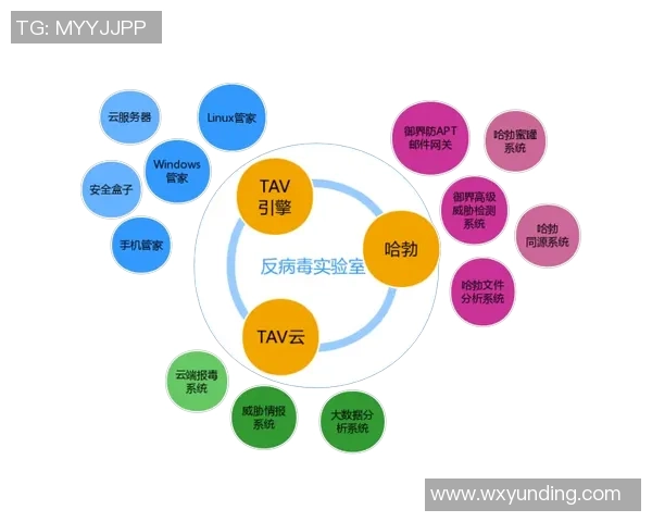 深入分析V5战队的防反策略与实战应用技巧