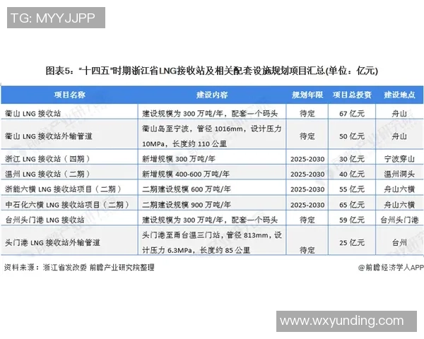 专业解析LNG市场动态与策略运用的深度剖析